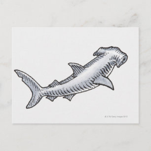 Hammerhead Shark Briefkaart