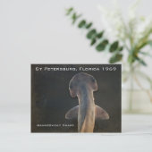 Hammerhead Shark Florida Briefkaart (Staand voorkant)