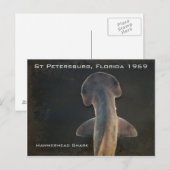 Hammerhead Shark Florida Briefkaart (Voorkant / Achterkant)
