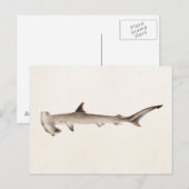  Hammerhead Shark Illustration Retro Sharks Briefkaart (Voorkant / Achterkant)