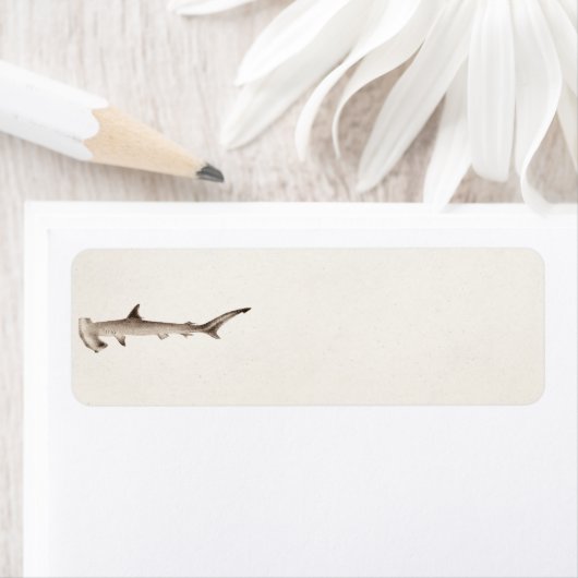  Hammerhead Shark Illustration Retro Sharks Etiket (Insitu)