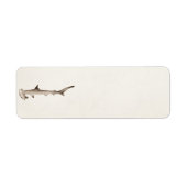  Hammerhead Shark Illustration Retro Sharks Etiket (Voorkant)