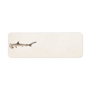 Hammerhead Shark Illustration Retro Sharks Etiket