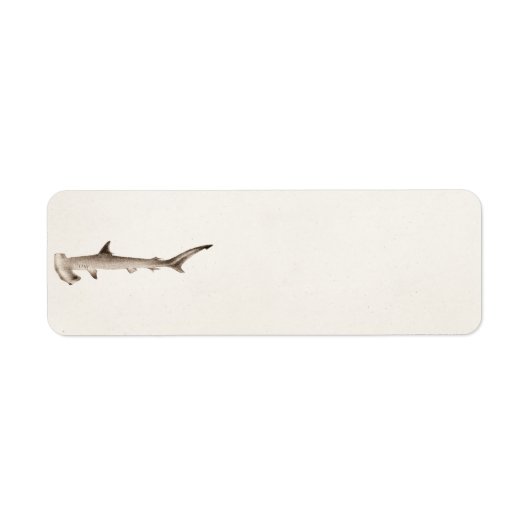 Hammerhead Shark Illustration Retro Sharks Etiket (Voorkant)