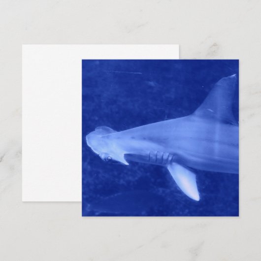 Hammerhead Shark Invitations Kaart (Voorkant / Achterkant)