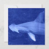Hammerhead Shark Invitations Kaart (Voorkant)