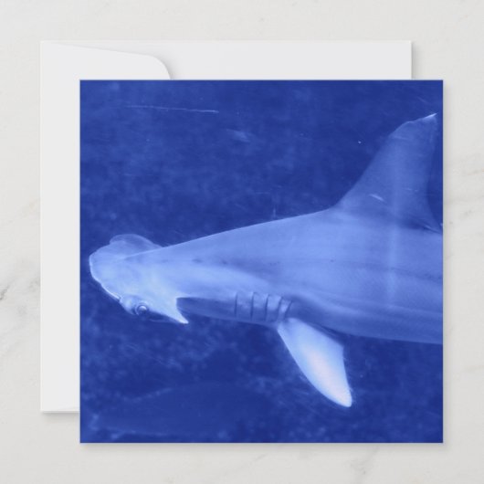 Hammerhead Shark Invitations Kaart (Voorkant)