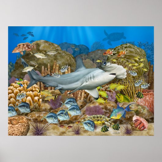 Hammerhead Shark Over koraalrif Poster (Voorkant)