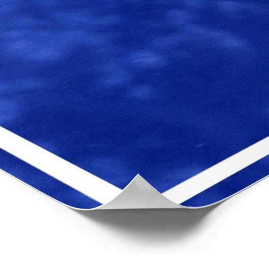 Hammerhead Shark Poster (Hoek)