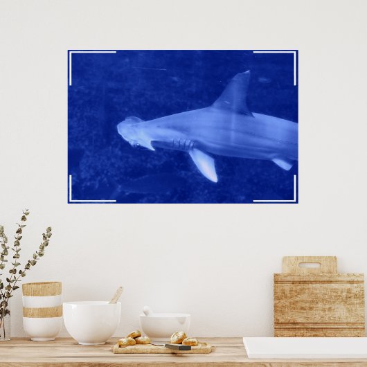 Hammerhead Shark Poster (Keuken)