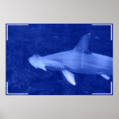 Hammerhead Shark Poster (Voorkant)