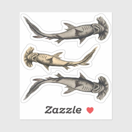 Hammerhead Sharks Sticker (Vel)