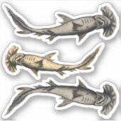 Hammerhead Sharks Sticker (Voorkant)
