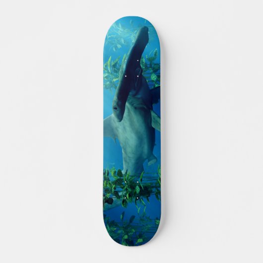 Hammerhead Skateboard (Voorkant)