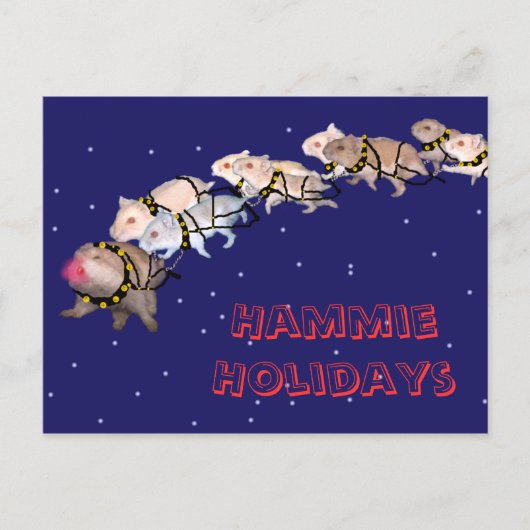 Hammie Feestdagen (Voorkant)