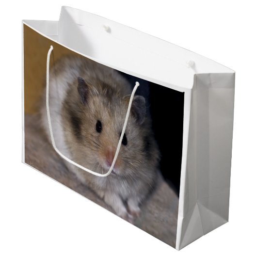 Hammie Gift Bag Large Cadeautasje (Voorkant Gekanteld)