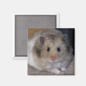 Hammie Magnet (Voorkant / Achterkant)