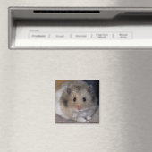Hammie Magnet (Insitu (Vaatwasser))