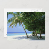 Hammock en Palm Tree Briefkaart (Voorkant / Achterkant)