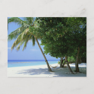 Hammock en Palm Tree Briefkaart
