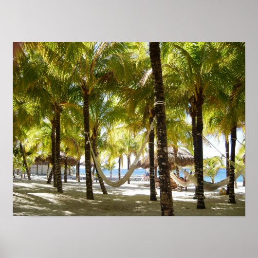 Hammock- en palmbomen door het Poster van de oceaa (Voorkant)