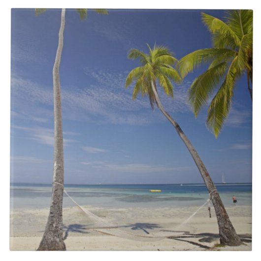 Hammock- en palmbomen, Plantation Island Resort Tegeltje (Voorkant)