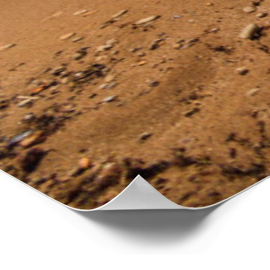 Hammock op de Shore Poster (Hoek)