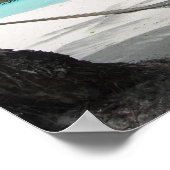 Hammock op het Poster Bora Bora (Hoek)