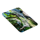 Hammock op het strand, Fiji Magneet (Rechterzijde)