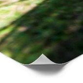 Hammock op het strand, Fiji Poster (Hoek)