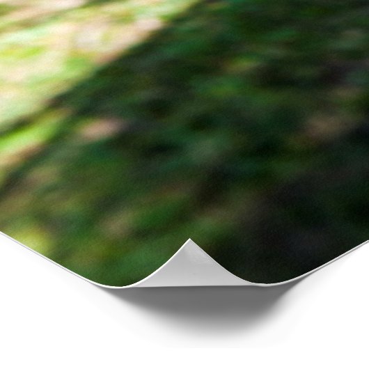 Hammock op het strand, Fiji Poster (Hoek)