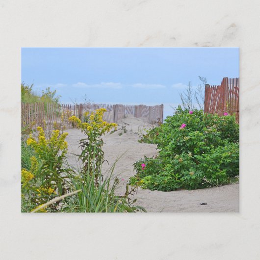 Hammonasset Beach Briefkaart (Voorkant)