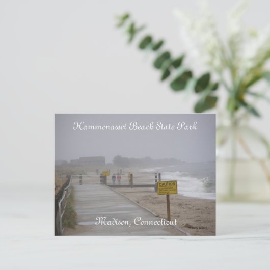 Hammonasset Beach State Park Briefkaart (Staand voorkant)