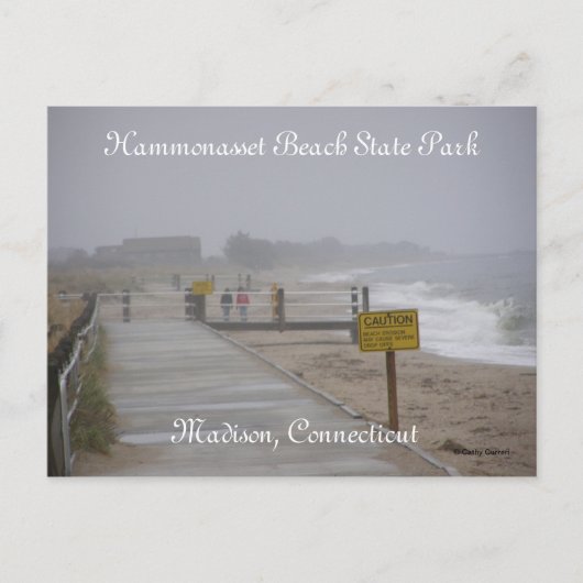 Hammonasset Beach State Park Briefkaart (Voorkant)