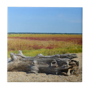 Hammonasset Beach Tegel Tegeltje