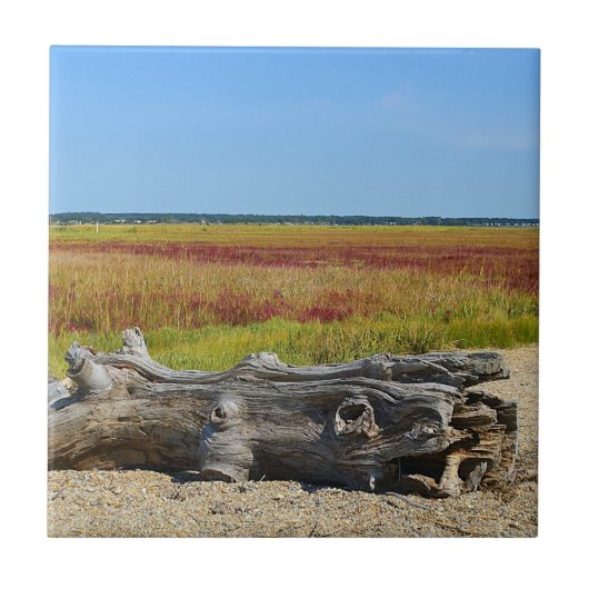 Hammonasset Beach Tegel Tegeltje (Voorkant)