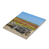 Hammonasset Beach Tegel Tegeltje (Zijkant)