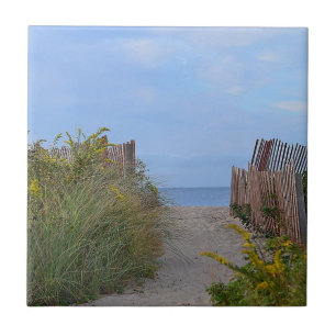 Hammonasset Beach Tegel Tegeltje