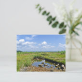Hammonasset-Briefkaart Briefkaart (Staand voorkant)