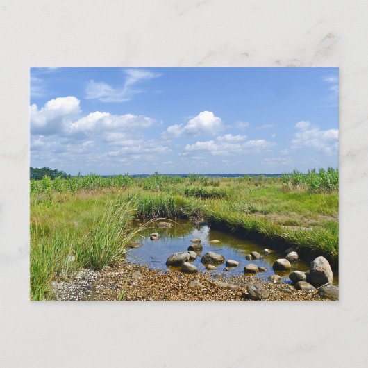 Hammonasset-Briefkaart Briefkaart (Voorkant)