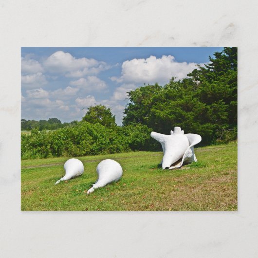 Hammonasset-Briefkaart Briefkaart (Voorkant)