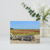 Hammonasset-Briefkaart Briefkaart (Staand voorkant)