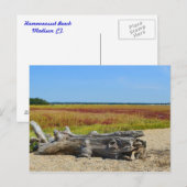 Hammonasset-Briefkaart Briefkaart (Voorkant / Achterkant)