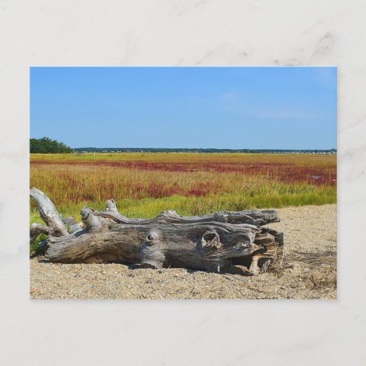 Hammonasset-Briefkaart Briefkaart (Voorkant)