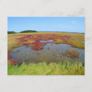 Hammonasset-Briefkaart Briefkaart