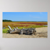 Hammonasset Driftwood Poster (Voorkant)