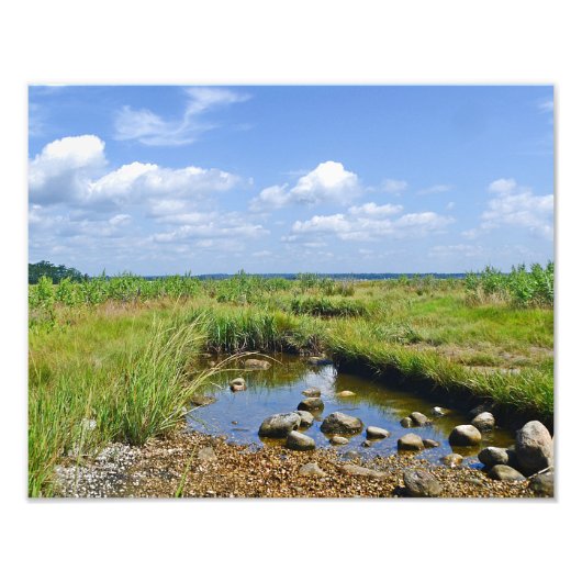 Hammonasset Marsh Photo Print Foto Afdruk (Voorkant)