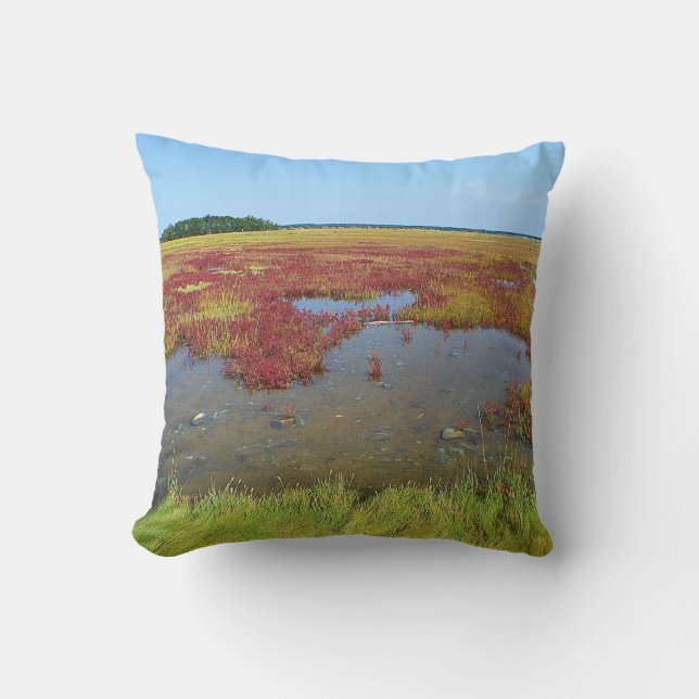 Hammonasset Marsh Pillow Kussen (Voorkant)