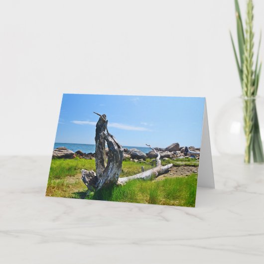 Hammonasset Notecard Kaart (Voorkant)