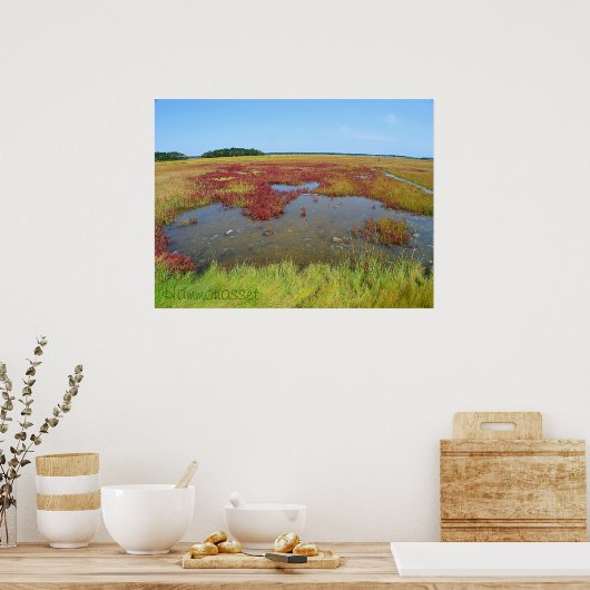 Hammonasset-Poster Poster (Keuken)